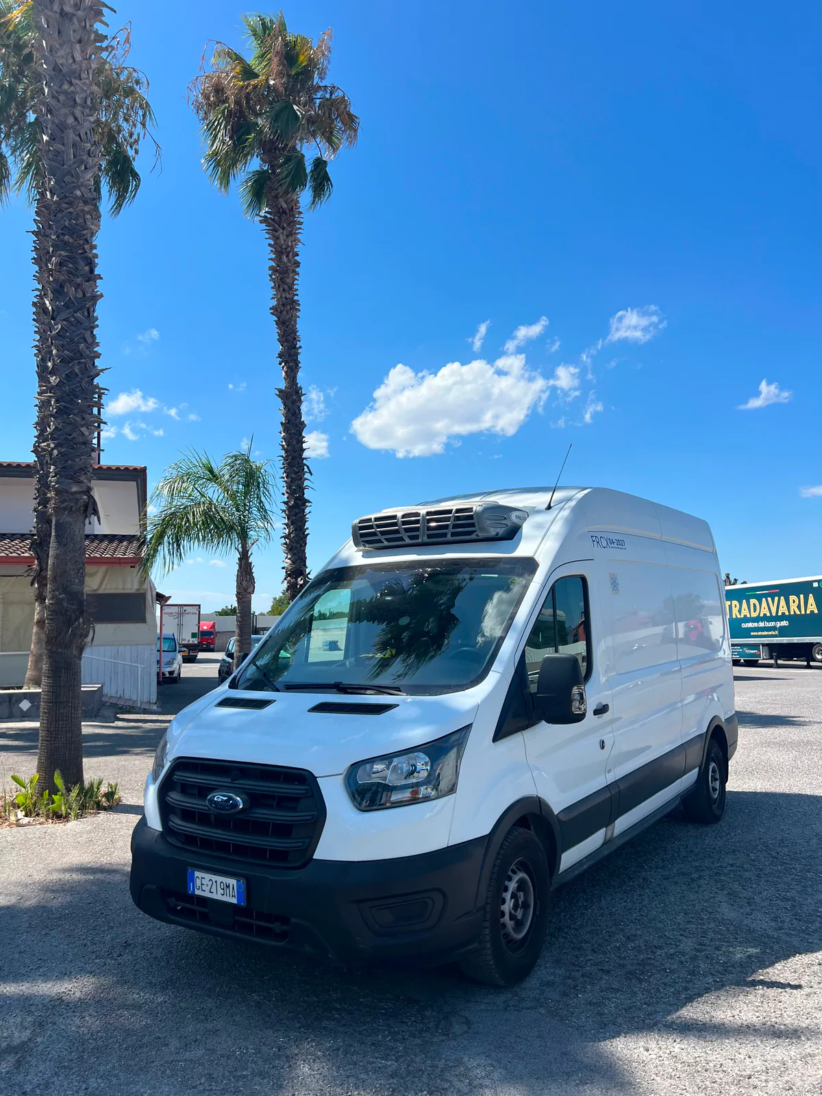 Ford Transit refrigerato bianco della flotta SPEEDLINE