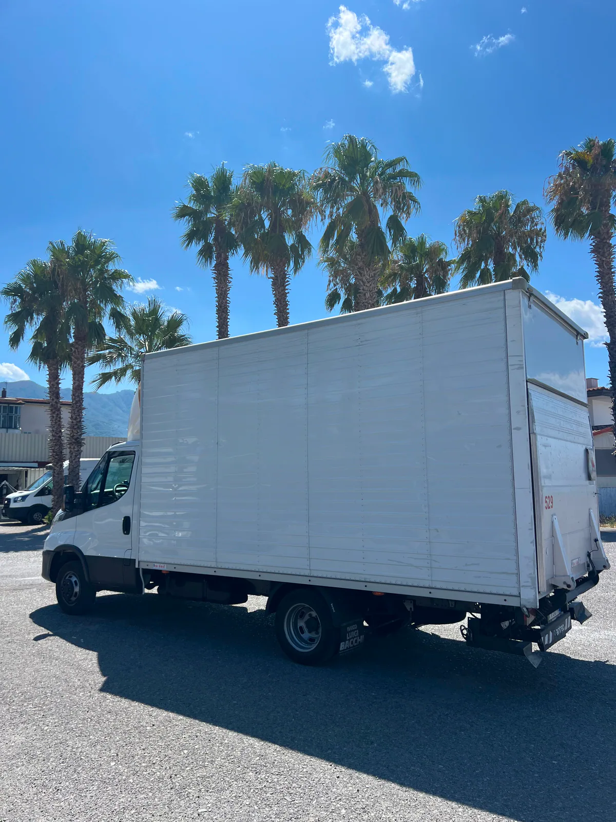 Iveco cassonato bianco visto dal lato posteriore
